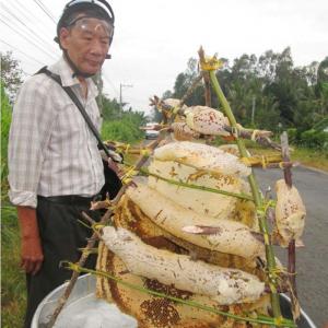 Giá 1 Triệu Đồng 1 Lít Mật Ong Rừng Vùng Núi Biên Giới Campuchia Ở Miền Tây